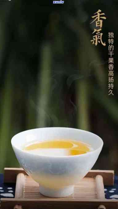 中茶金毫玉莲和大益岁月熟茶，品味双重享受：中茶金毫玉莲与大益岁月熟茶的魅力