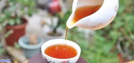 红茶指的是哪些茶叶-红茶指的是哪些茶叶品种