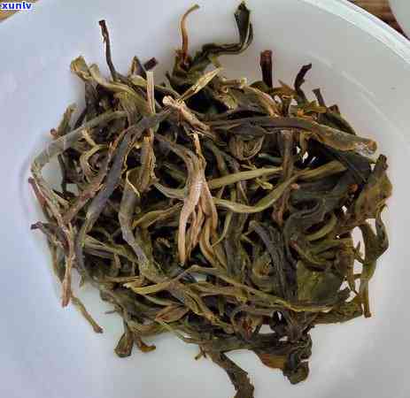 冰岛大树茶普洱茶，探索独特口感：冰岛大树茶普洱茶的魅力与鉴