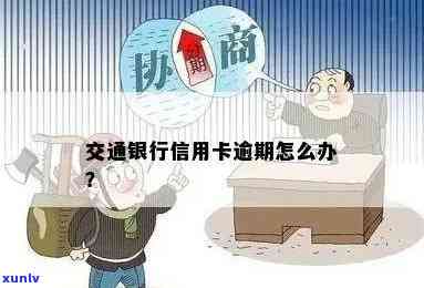 翡翠的金枝玉叶：寓意、象征与选购指南，全方位解析翡翠之美