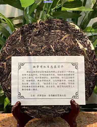 班章雀生态茶熟茶-雀班章熟茶推荐