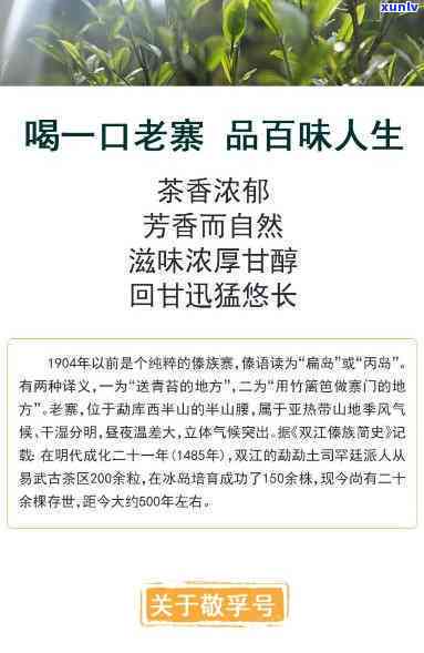 冰岛雀普洱茶：2024年375克古树纯料生茶，2021年产量及相关信息