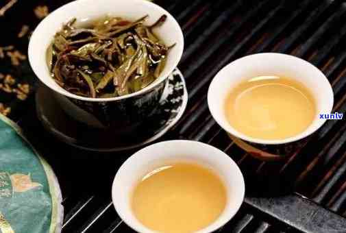 冰岛生茶：绿茶还是红茶？口感、作用与区别解析