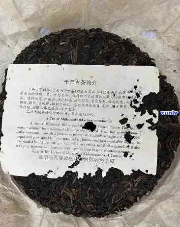 勐海班章生态沱茶价格：2003年版，由班章沱茶勐海茶厂生产，云南原产地直供，正宗生态班章茶，源自勐海县班章生态茶厂。立即购买，享受优价格！