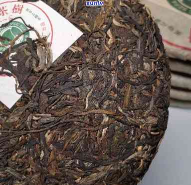 澜沧古茶大班章生茶-澜沧古茶大班章生茶多少钱