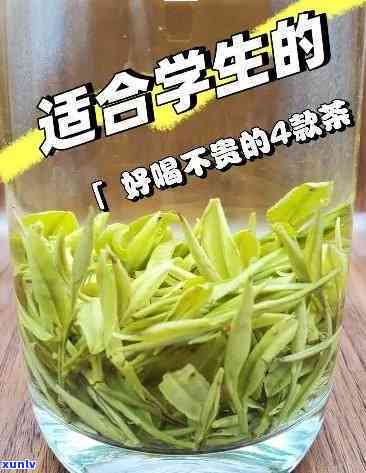 初中生适合喝茶叶吗，初中生是否适合饮用茶叶？一份全面的指南