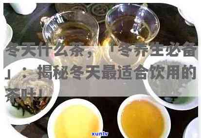 冬天适合喝哪种茶叶好，冬饮品推荐：哪种茶叶最适合在寒冷节饮用？