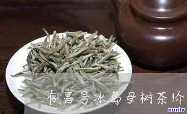 冰岛母树茶2012茶价格，探究冰岛母树茶2012年的市场价格