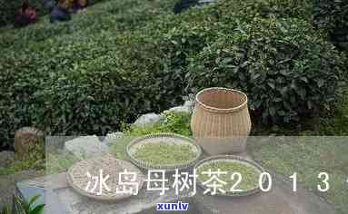 冰岛母树茶2012茶价格，探究冰岛母树茶2012年的市场价格