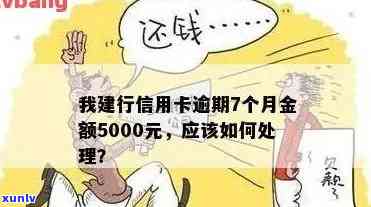 我建行信用卡逾期7个月金额5000：怎样解决？