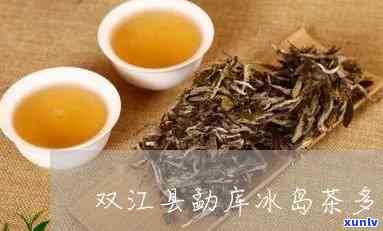 双江冰岛茶多少钱一斤？了解双江冰岛茶城、双江冰岛普洱茶及特点，双江冰岛老寨茶叶与临沧双江冰岛茶城的介绍