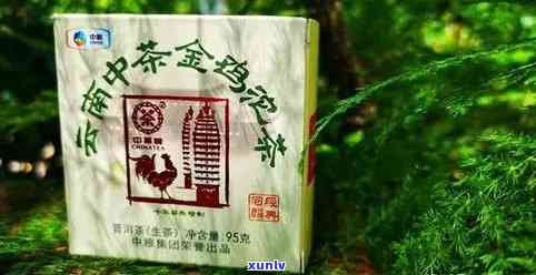 中茶金鸡沱茶口感如何？熟茶与生茶有何不同？一文了解中茶金鸡沱茶！