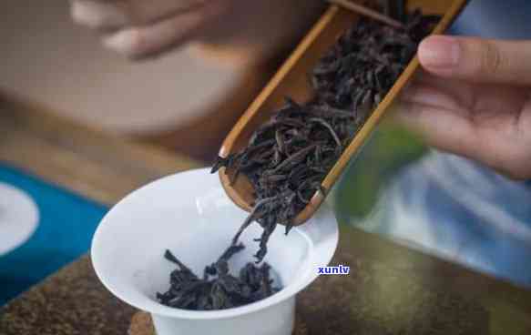 百年老枞是什么茶种，探究茶叶之谜：百年老枞属于哪种茶种？