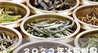 2020冰岛地界茶-2021冰岛地界茶价格