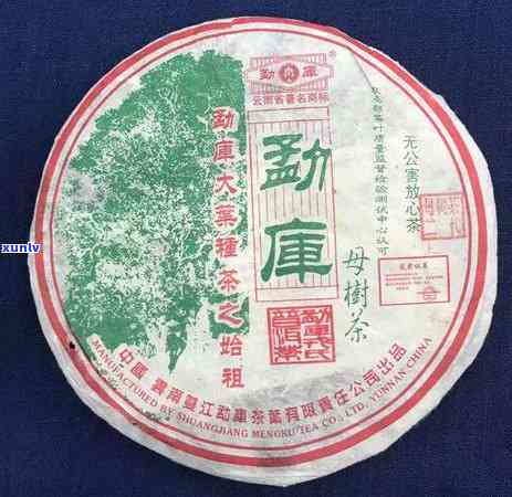 2006冰岛茶价格-2006年冰岛茶价格