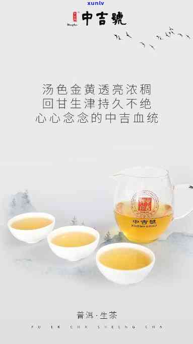 中茶吉号，中茶吉号：品味中国传统茶文化的魅力