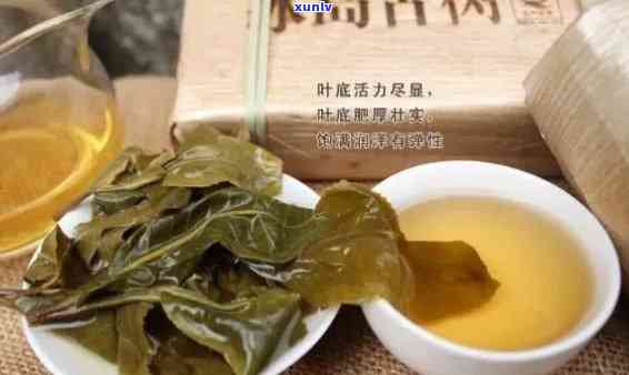 冰岛茶的更大特点是什么？探讨其独特口感与分类