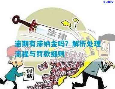 逾期4个月-4个月没交罚款要交多少滞纳金