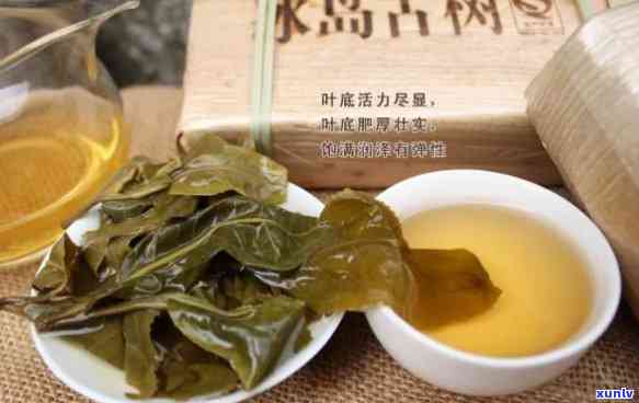 老树冰岛茶头的品质，探秘老树冰岛茶头：高品质的茶叶体验