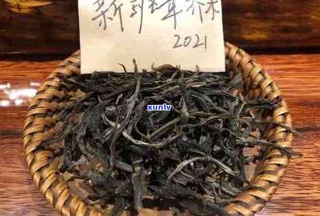 班章木茶与老班章有何区别？熟悉这两种茶叶的不同之处