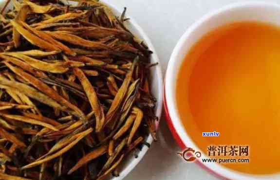 金针红茶是什么茶？探究其功效、特点及价格