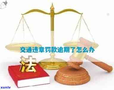 交通违法逾期罚款吗怎么解决，怎样解决交通违法逾期罚款？