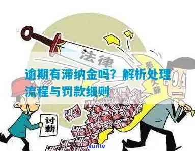 处罚逾期会产生滞纳金，怎样计算及解决？