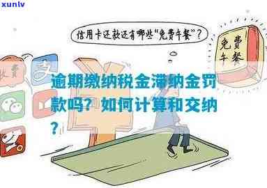 处罚逾期会产生滞纳金，怎样计算及解决？