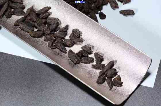 茶叶碎银子和茶化石哪个好，茶叶碎银子与茶化石：哪一种更好？