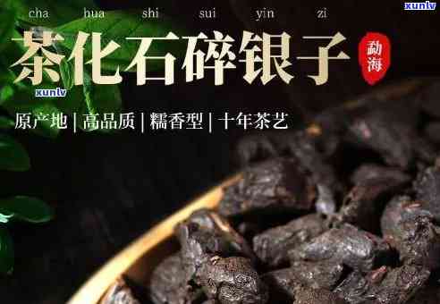 茶叶碎银子和茶化石一样吗，茶叶碎银子与茶化石：有何不同？