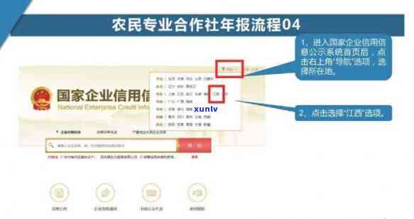 合作社工商年报办理全攻略：流程、所需材料、费用及留意事