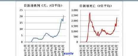 2021年冰岛茶价格：历年走势与市场行情全解析