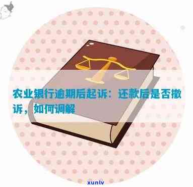 农业银行逾期：上法院多久开庭？多久会被起诉？多久上？如何调解？逾期后怎么办？