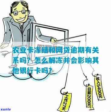 农行卡逾期解冻技巧：怎样快速解除冻结？