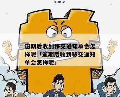 逾期后收到移交通知怎么解决，怎样应对逾期后收到的移交通知？