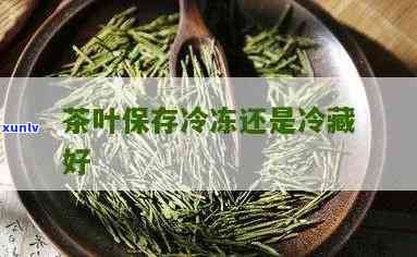 茶叶应该怎么保存是冷冻还是冷藏，茶叶的正确保存 *** ：应该选择冷藏还是冷冻？