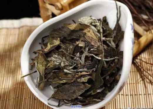 茶叶应该怎么保存是冷冻还是冷藏，茶叶的正确保存 *** ：应该选择冷藏还是冷冻？