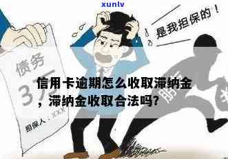 逾期滞纳金怎样合法、合理收取？需不需要缴纳？详细解析