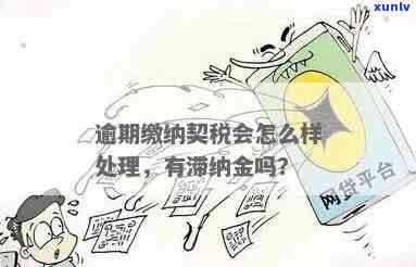 逾期滞纳金怎样合法、合理收取？需不需要缴纳？详细解析