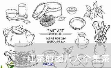 红茶茶叶的图片大全集：高清、欣与简笔画，唯风图片与详细名称