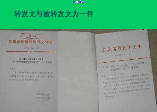 ：移交档案通知书本、编号、格式及图片一览