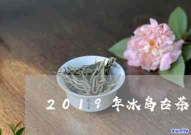 冰岛茶2019上茶-冰岛茶系列