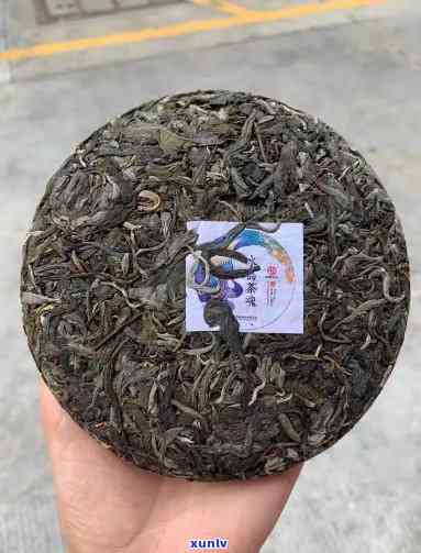 冰岛茶魂200克尺寸，探索冰岛茶魂：200克尺寸的神秘世界