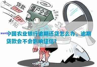 农业银行逾期几天还款会影响吗？