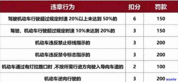 罚款过了一个月怎么办？错过期限作用大，解决方案全解析！