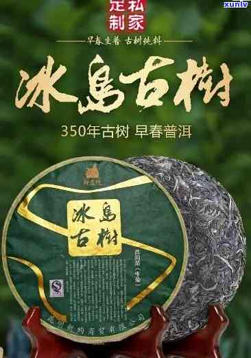 冰岛大树茶普洱茶生茶357克价格：了解冰岛大树茶与其他同类产品的价格差异与价值