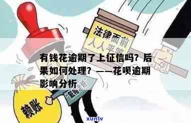 普洱生茶放多久好喝了？探究生茶存放与品饮的时机