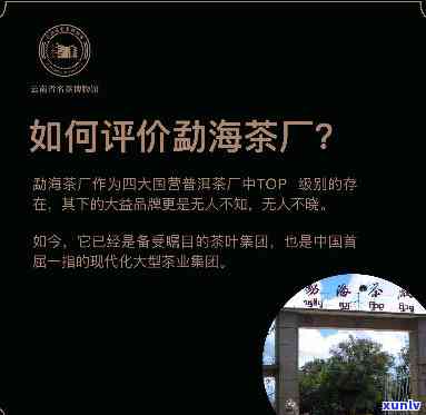 中茶茶业勐海工厂，探秘中国茶叶产业：中茶茶业勐海工厂深度解析