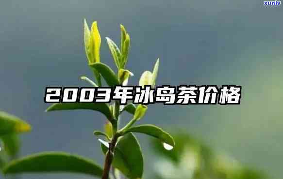 冰岛母树茶2002茶价格，探究冰岛母树茶2002的市场价格及其价值