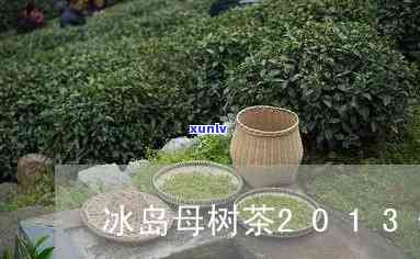 冰岛母树茶2002茶价格，探究冰岛母树茶2002的市场价格及其价值